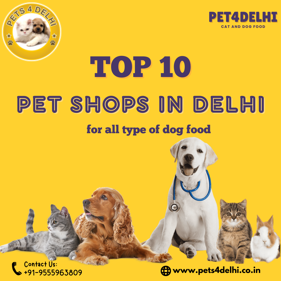 Best Pet Supplies Store in India  Buy All Pets Products Online