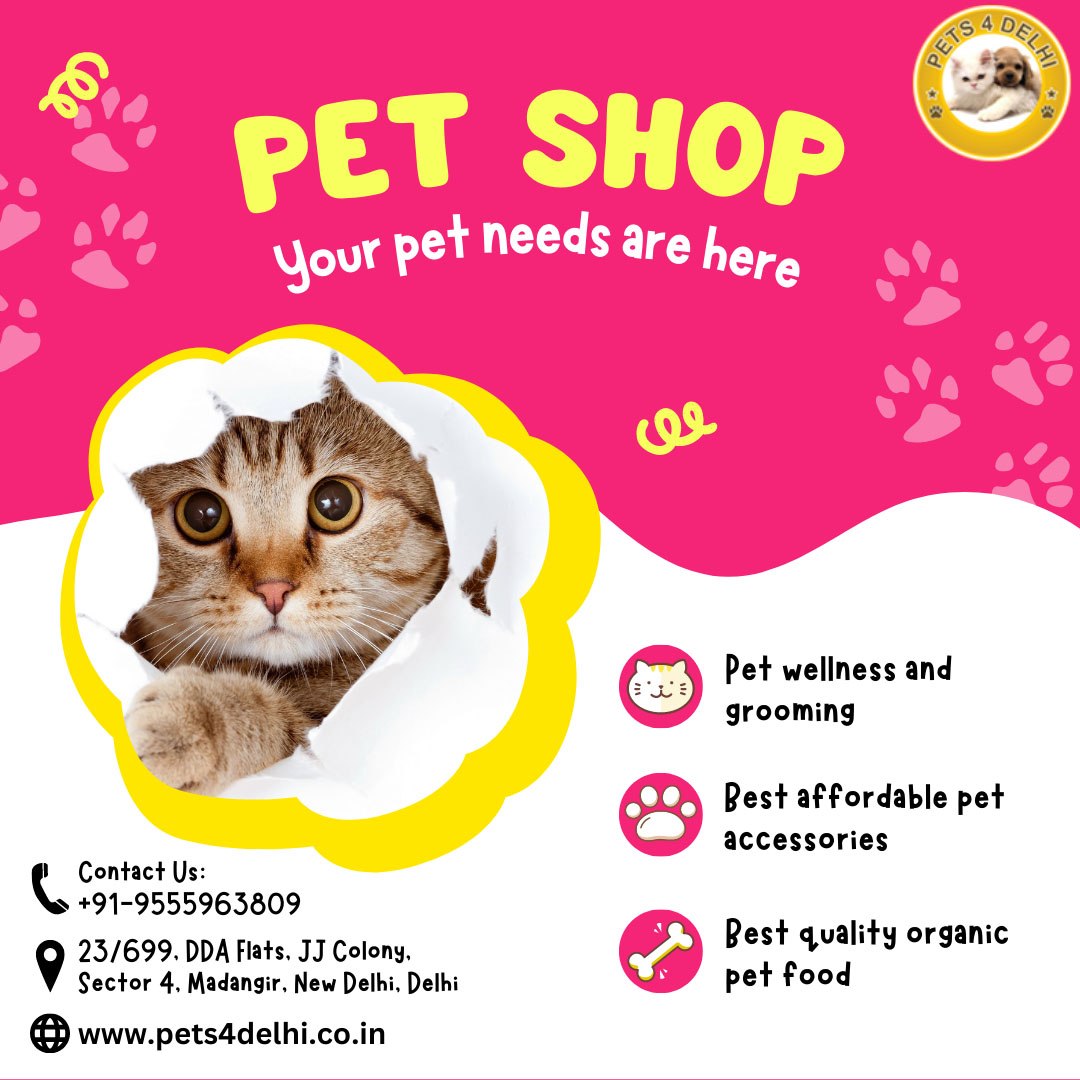 Best Pets Shops in Delhi, Pets Store in South Delhi, pet shop delhi